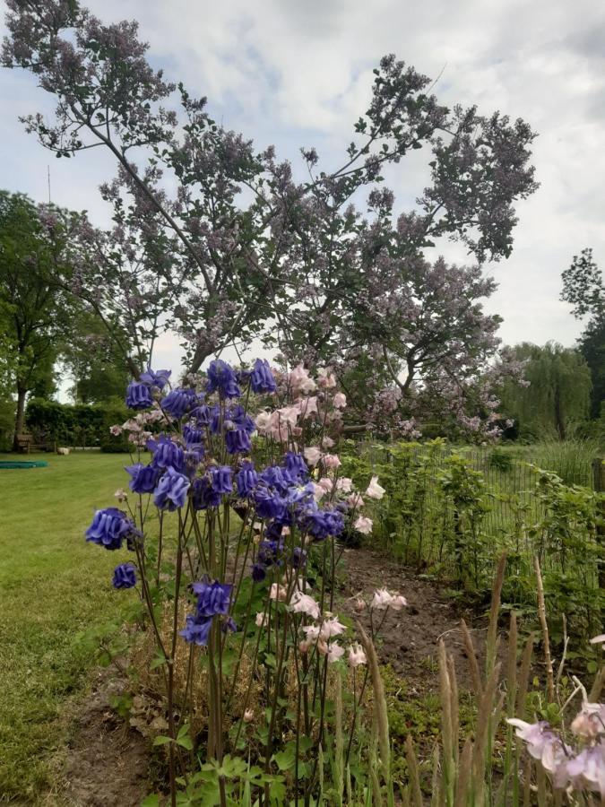 B&B Het Klontje Vriescheloo Buitenkant foto