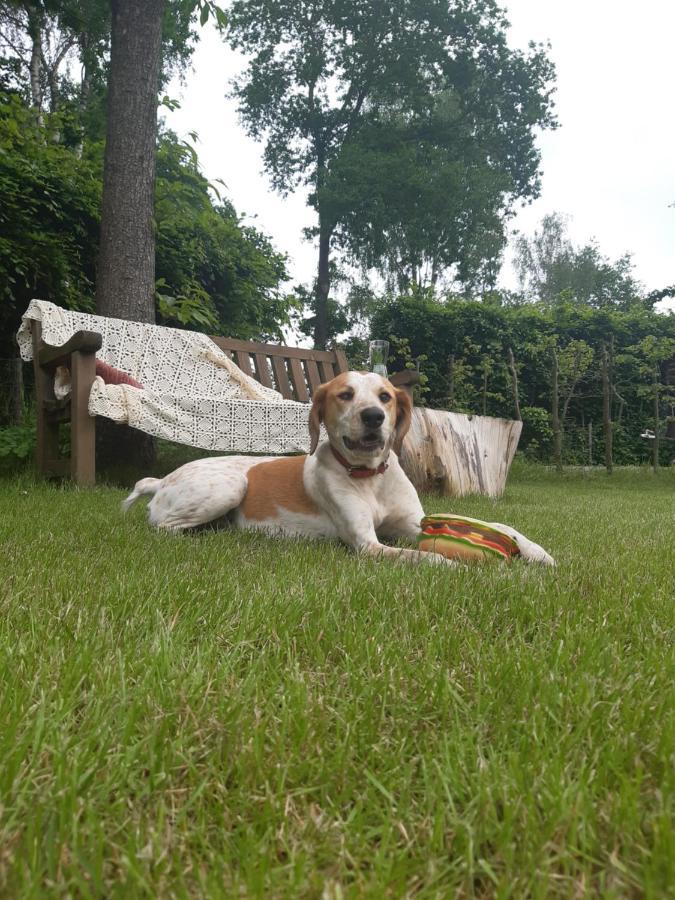 B&B Het Klontje Vriescheloo Buitenkant foto